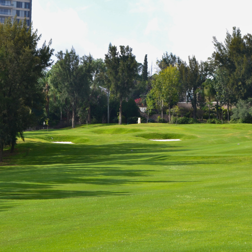 CAMPO GOLF